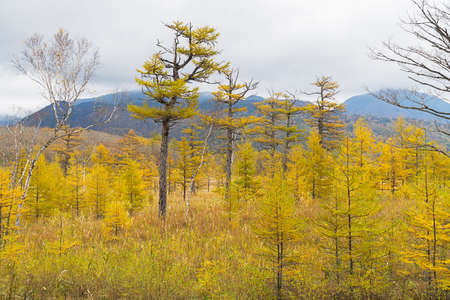 Nikko is well known for its scenic beauty surrounded by natural attractions such as mountains, marshlands, and lakes. It is also very popular for those who love to hiking or trekking. This photo was shot in autumn.の写真素材