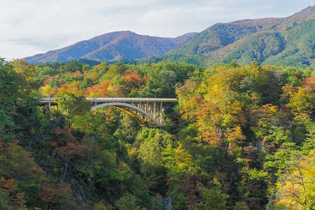 Naruko Gorge is one of the Tohoku Region's most scenic gorges. It is located in north-western Miyagi Prefecture, about 70 kilometers from Sendai. Every year around late October to early November, the gorge transforms into one of the region's most popular autumn color.の写真素材