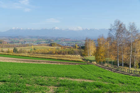Biei is a small town surrounded by a picturesque landscape of gently rolling hills and vast fields. A pleasant way to enjoy the charm of Biei is by cycling or driving through the hills and visiting some of the flower fields and famous trees along the way.の写真素材