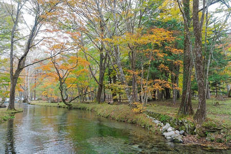 Nikko is well known for its scenic beauty surrounded by natural attractions such as mountains, marshlands, and lakes. It is also very popular for those who love to hiking or trekking. This photo was shot in autumn.の写真素材