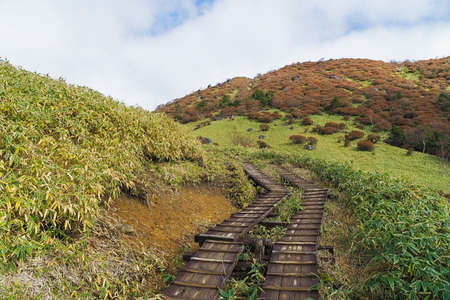 Kirifuri highland is the area on the southeastern side of Mount Akanagi. It is located to the north within a range of 3 to 8 km from central Nikko city. Most of area is located at the level of over 1,000 meters, and grassland and forests spread.の写真素材