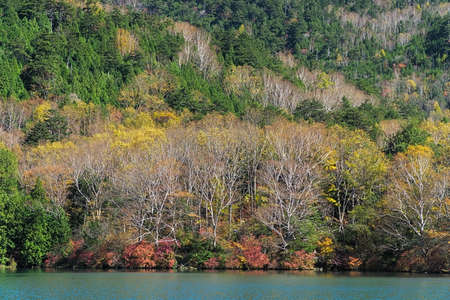 Lake Yunoko is a small lake located just north of Senjogahara marsh and it is located about 6 km north-northwest of Lake Chuzenji. This photo was shot in autumn.の写真素材