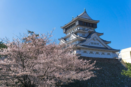 The Kokura castle grounds are now known as Katsuyama Park and are a popular cherry blossom. It was built in 1602 at the beginning of the Edo Period.のeditorial素材