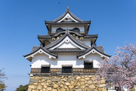 Hikone Castle was completed in 1622. It is an original castle, survived the post feudal era without...