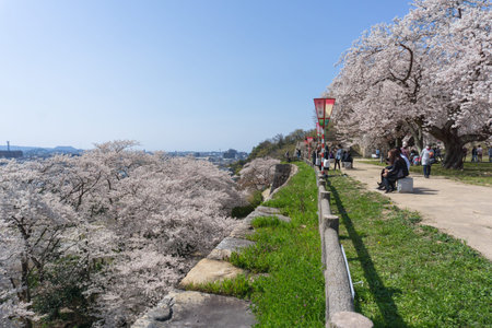 Tottori Castle was originally built in 1532 and served as the regional center of power during...