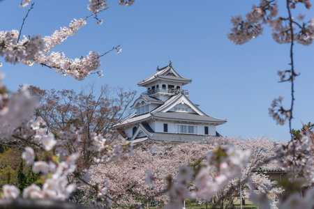 Nagahama Castle is located in Nagahama, Shiga Prefecture, Japan. It was built in 1575-1576. It was...