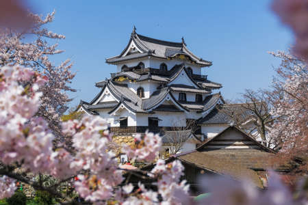 Hikone Castle was completed in 1622. It is an original castle, survived the post feudal era without undergoing destruction and reconstruction. Besides the castle's main keep, most of the inner moats, walls, guard houses and gates also remain intact.のeditorial素材