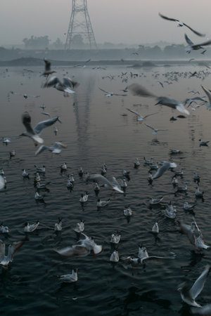 This is what a typical sunrise looks at the yamuna ghat located in delhi .の写真素材