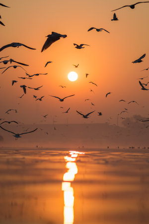 This is what a typical sunrise looks at the yamuna ghat located in delhi .の素材 [FY310169416602]