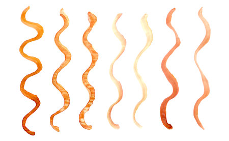 Set of orange ribbons isolated on white background. Watercolor illustrationの写真素材