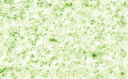 green grunge texture background for multiple uses. High resolution photo.