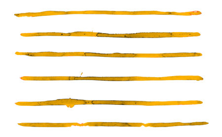 Yellow watercolor brush strokes isolated on white background. Grunge style.の写真素材