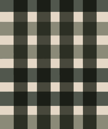 Seamless tartan plaid pattern. Vector illustration. Ideal for printing onto fabric and paper or scrap booking.の写真素材