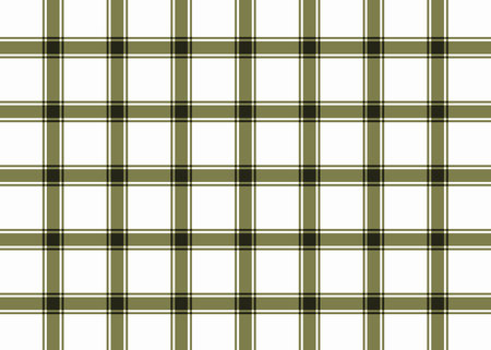 Seamless tartan plaid pattern with white background. Vector illustration.の写真素材