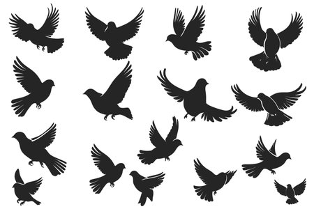 Pigeons set. Silhouettes of pigeons. Vector illustrationのイラスト素材