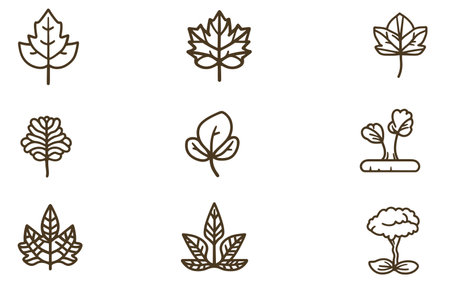 Leaf icons set. Vector illustration isolated on white background for graphic and web design.のイラスト素材