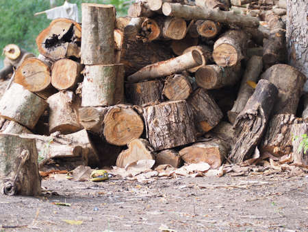 The log is waiting for firewoodの写真素材