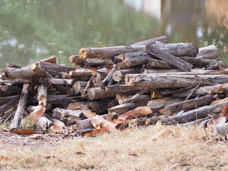 Old wood left to decay.の写真素材