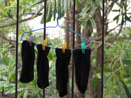 two pairs of black socks wite mukti-colored claspsの写真素材