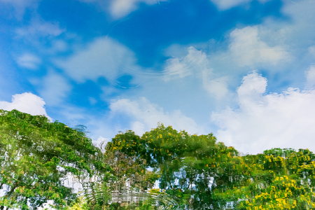 Reflection of the sky and tree on waterの写真素材
