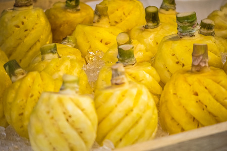 pineappleの写真素材