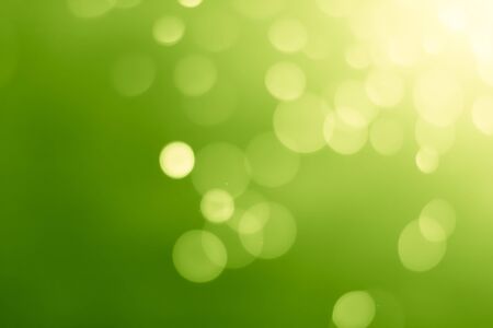 abstract bokeh background lime green colorの写真素材