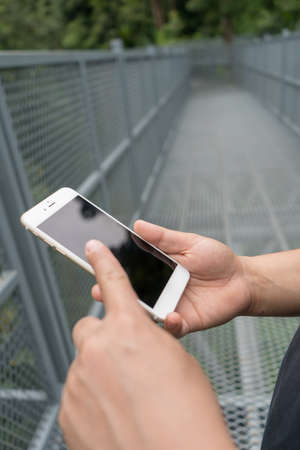 Men are checking their mobile on the skyline in the tropical forest.の写真素材