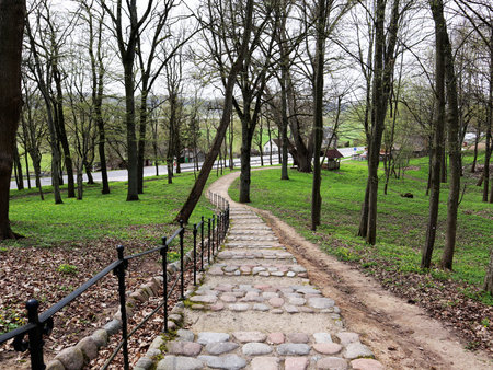 Stone staircase winding through a park with trees, leading to a scenic overlookの写真素材