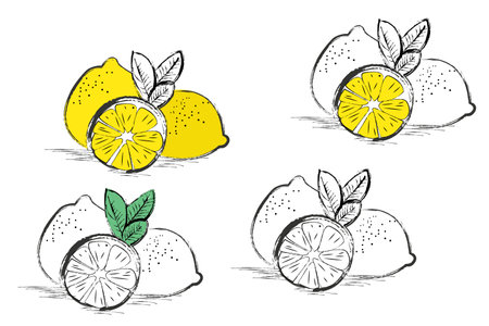 Orange sketch pattern background in illustrationの写真素材