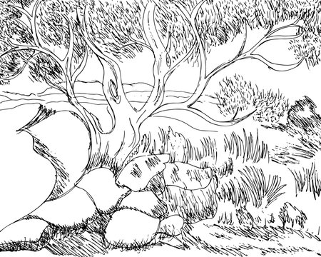 Ink sketch forest line art landscape illustration backgroundの写真素材