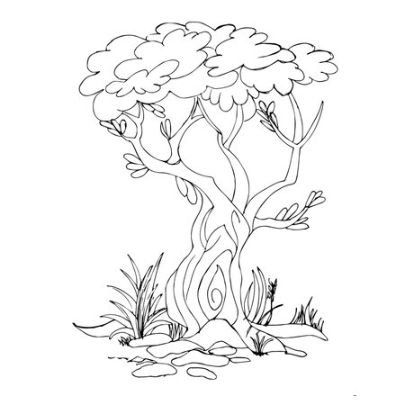 Children book line art tree sketch illustrationの写真素材