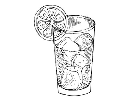 Cocktails drinks and glass with lemon sketch on white background Cocktails drinks for bar, restaurant, cafe menu.の写真素材