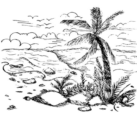 Hand drawn tropical beach with palm trees and the seaの写真素材