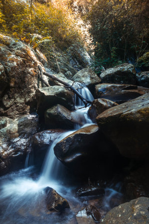 river stream