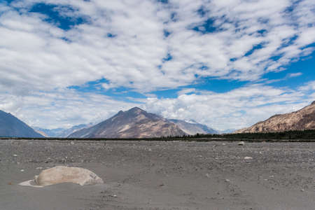 Sand deserts of Nubra valley in Ladakh, India, Asiaの写真素材