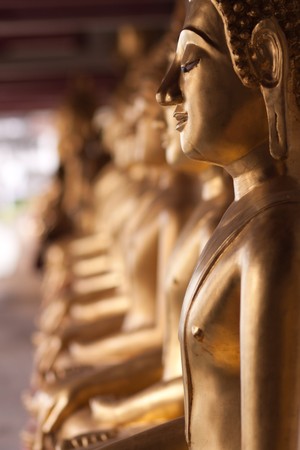 budda in the temple,thailandの写真素材