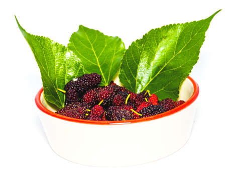 Organic mulberry fruit on a separate wooden plate on a white background, placed in a ceramic dish.の写真素材