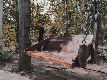 Swinging empty on the lawn in the garden.の写真素材