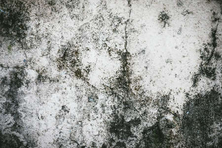 Abstract background of old wall for textureの写真素材