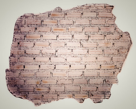 Old white brick wall used as background
