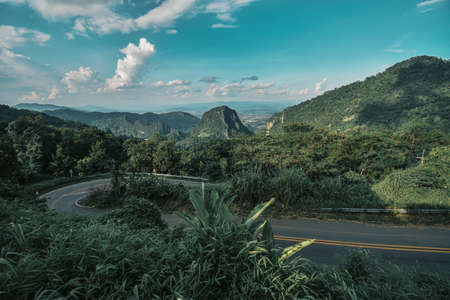 Mountain forests, roads with dense pine forests in the mountains in Chiang Rai, Thailand, where nature is the most.の写真素材
