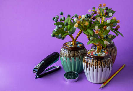 artificial jade tree For decorating your desk and giving as a gift on a purple backgroundの写真素材
