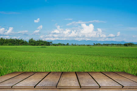 Wooden tables and a beautiful sunny day on a rice field with beautiful mountains in the background.の写真素材