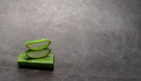 fresh aloe leaves isolated on dark backgroundの写真素材