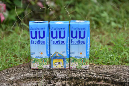 10 Nov 2021; Chiang Rai, Thailand:  Free pasteurized milk for primary school students under the Thai government programのeditorial素材