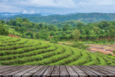 Empty wooden floor with blurred tea plantations Can be used for product display editing
