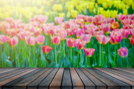 The wooden tabletop on tulip blur backgroundの写真素材