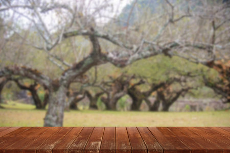 wooden table top on blurred park backgroundの写真素材