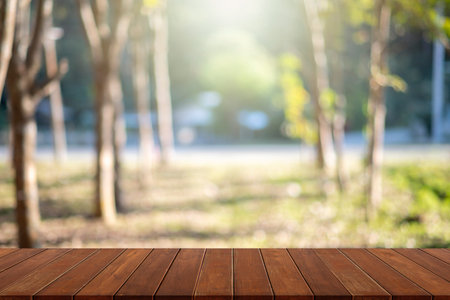 wooden table top on rubber plantation background, sunlight shinesの写真素材