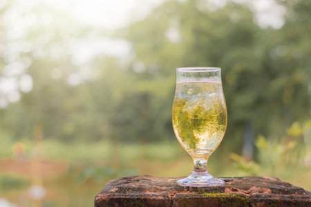 Beer in a glass over sunlight and natural green background in a glass with ice.の写真素材